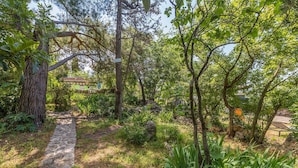 Un sendero de piedra serpentea por un exuberante jardín con diversas plantas y árboles.