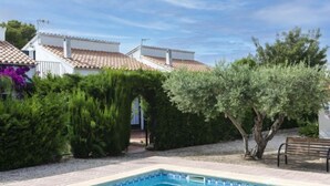 Ein Schwimmbecken mit Fliesenbordstein, umgeben von einem Garten mit verschiedenen Sträuchern und einer Bank.