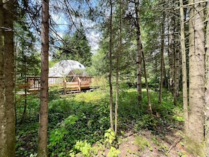 A forested area with a wooden deck and a geodesic dome structure. - Dome #2 – Located in the Heart of Nature (Saint-Gabriel-de-Valcartier)