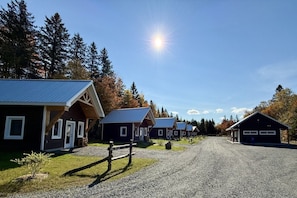 Uklassifisert bilde, 2 av 8, knapp