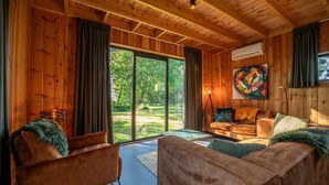 Een gezellige woonkamer met een grote schuifdeur naar een tuin, een bank, een fauteuil en een schilderij aan de muur.