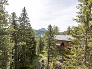 Exterior - #43 mit Sauna und Sprudelbad Innen by Interhome (Turracher Höhe)