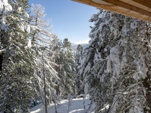 Uma paisagem de floresta coberta de neve com uma estrutura de madeira.