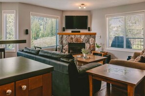 TV, fireplace