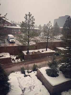 Property grounds - Premiumn  Heavenly S. Lake Tahoe. (South Lake Tahoe)