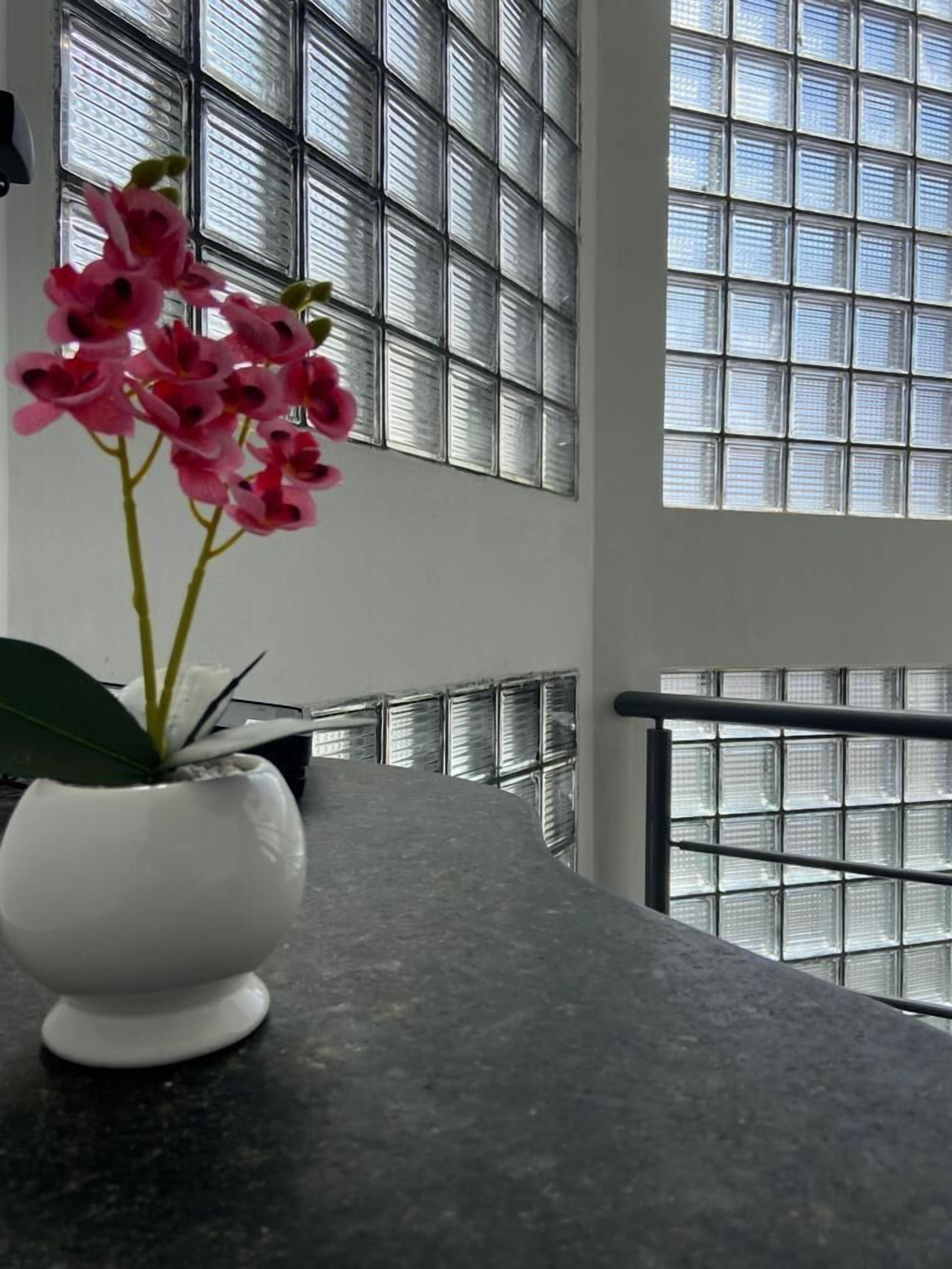 Foto - Pousada Trip Inn Recife