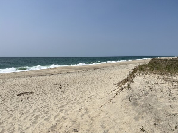 Enjoy a serene beach experience with calm seas and lush vegetation.