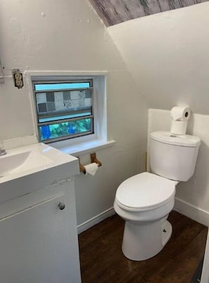 Seife, Shampoo, Toilettenpapier