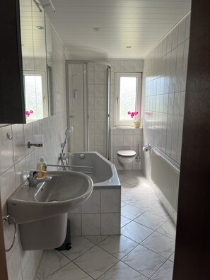 Haartrockner, Seife, Toilettenpapier