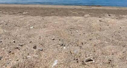 Beachy Basement Banter