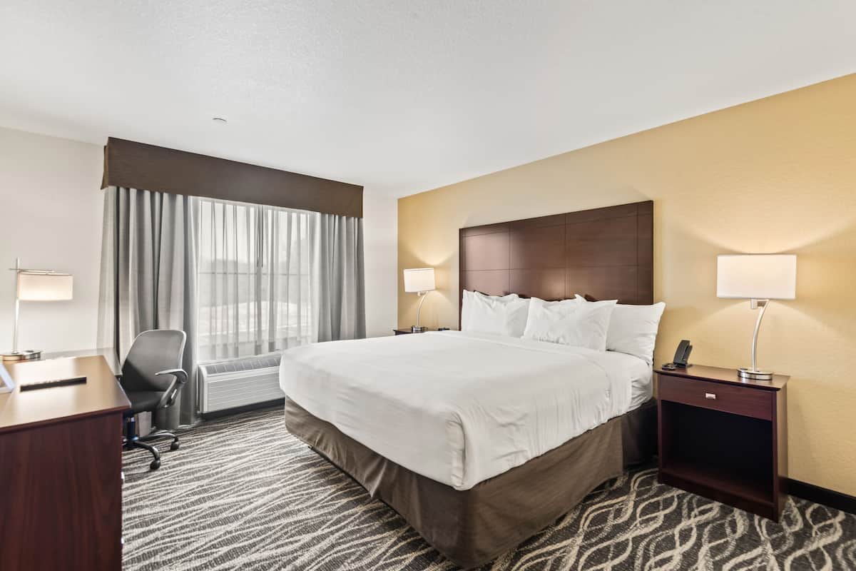 Room, Non Smoking (Single King Guestroom) | 1 bedroom, down comforters, pillowtop beds, desk