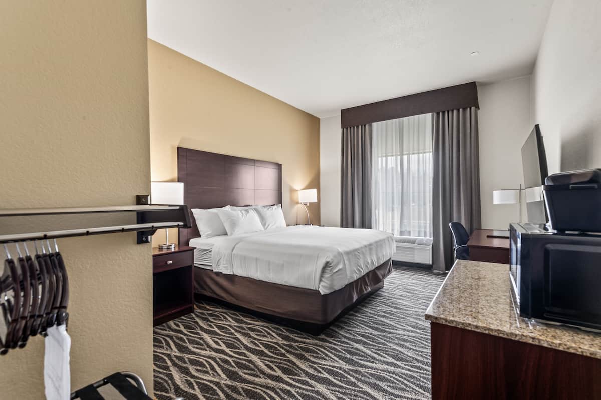 Room, Non Smoking (King Guestroom) | 1 bedroom, down comforters, pillowtop beds, desk