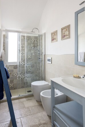 Shower, hair dryer, bidet, towels