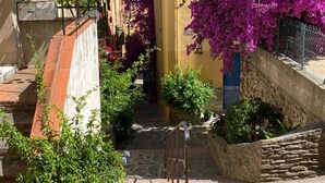 Ein schmaler Gang mit einem gelben Gebäude, einer Treppe und purpurroten Bougainvillea-Blüten.