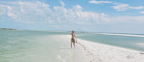 Playa en los alrededores, camastros y toallas de playa