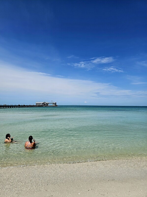 Plage à proximité, chaises longues, serviettes de plage