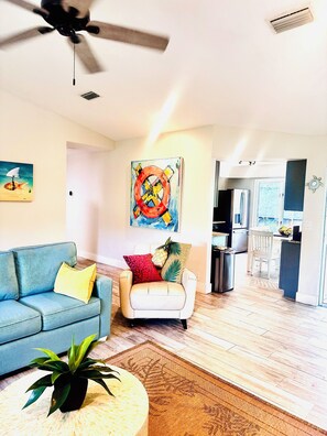 TV connectée, lecteur de DVD, livres