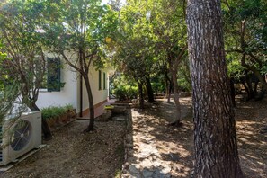 Un cortile con alberi, un edificio con una finestra e un condizionatore.