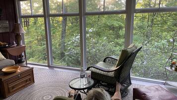 TV connectée, cheminée, lecteur de DVD, livres