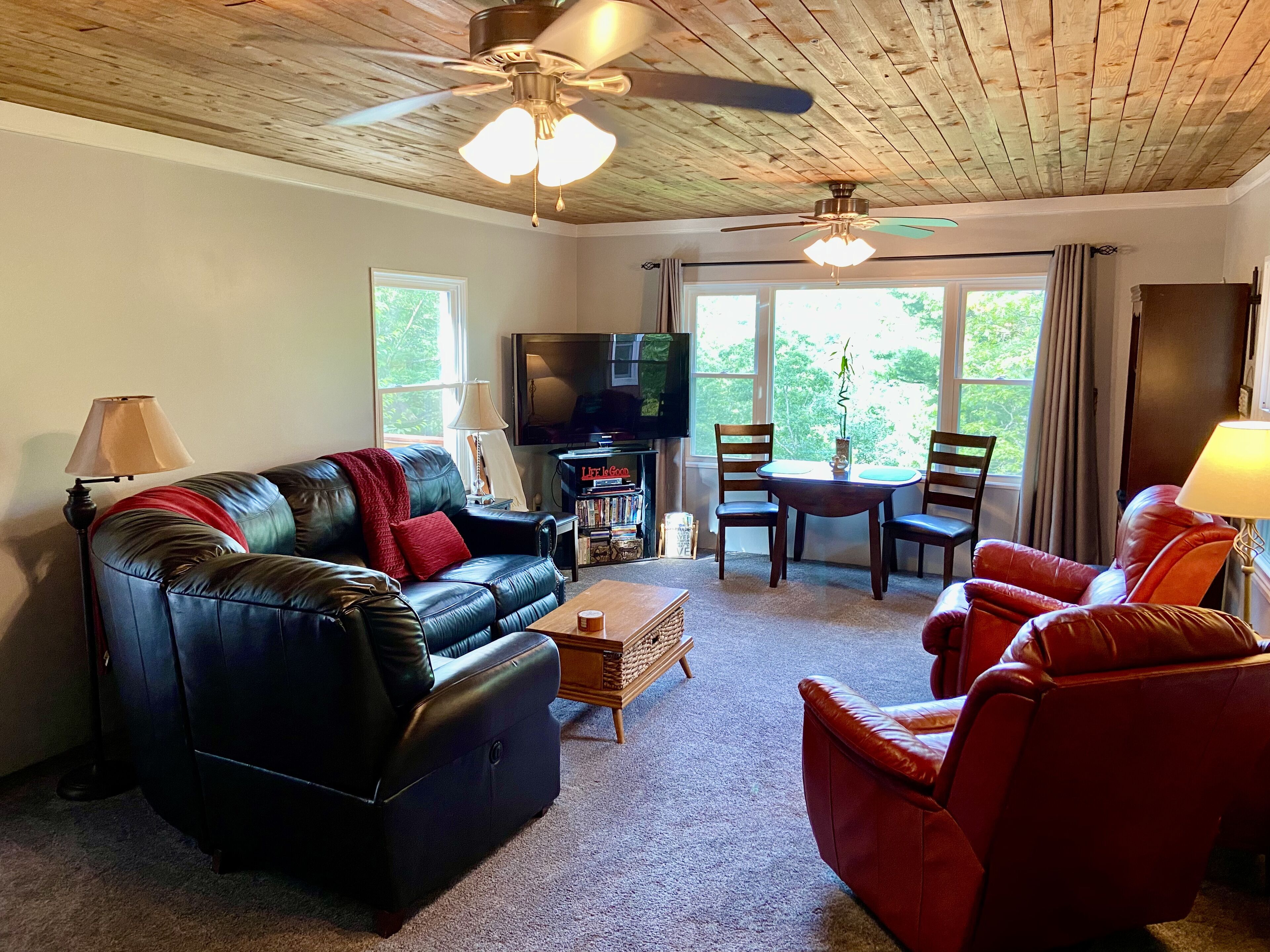 Smart TV, fireplace, DVD player, books