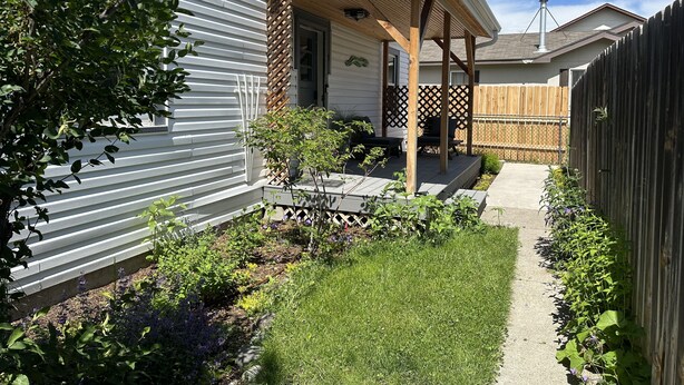 Un jardin arrière aménagé, avec une terrasse couverte, une clôture en bois et une variété de plantes.