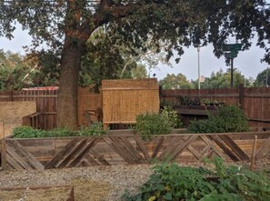 Stroll through the serene garden, surrounded by lush plants and a majestic tree, with a charming wooden structure in the background.