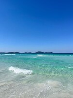 基本公寓 | 海灘 | 位於海灘上、白沙、8 間海灘酒吧