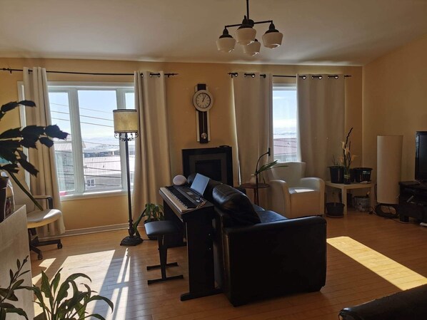 TV, DVD player, ping pong