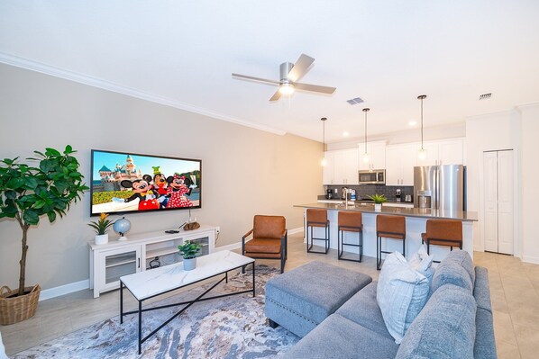 TV