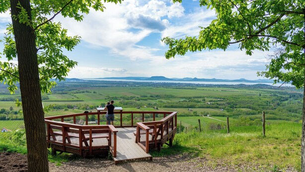 A wooden observation deck with a metal railing overlooking a green landscape with distant hills. - Holiday apartment with air conditioning, in the pedestrian zone (Balatonlelle)