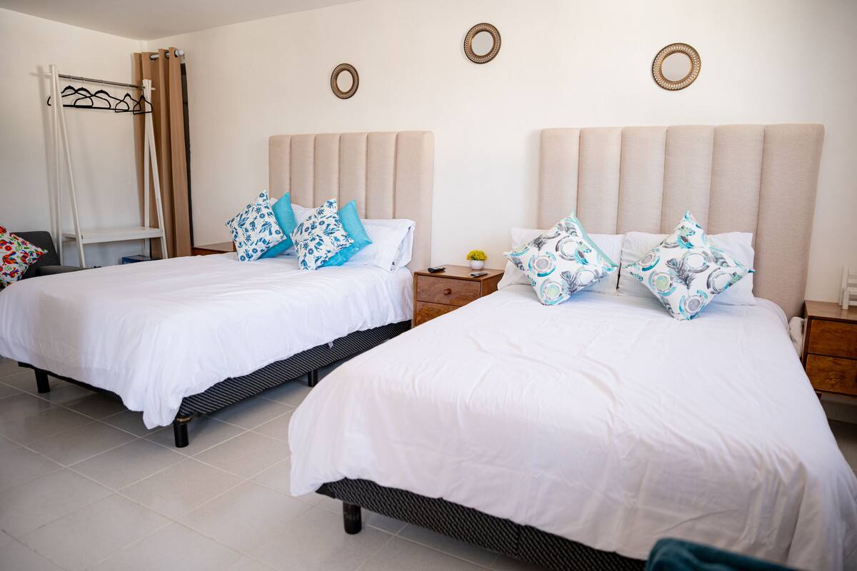 Two single beds with white bedding and blue patterned pillows, a wooden nightstand with a small plant, and a wall-mounted mirror.