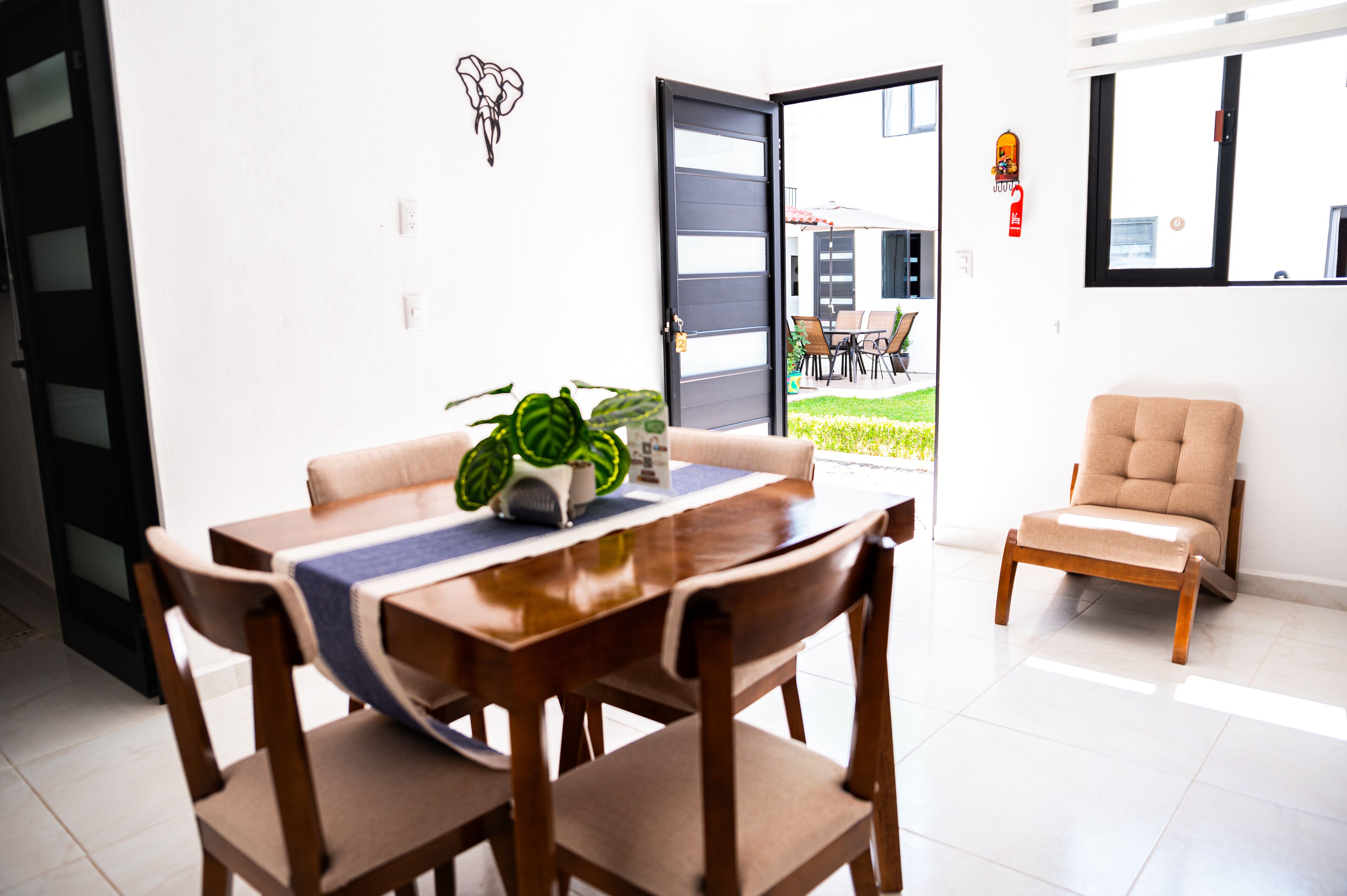 Un comedor con una mesa, sillas y una planta en maceta.