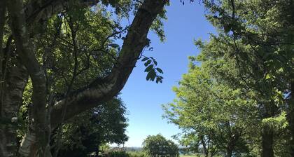 Mauldslie Hill Cottage - Sleeps 6 & Pet Friendly