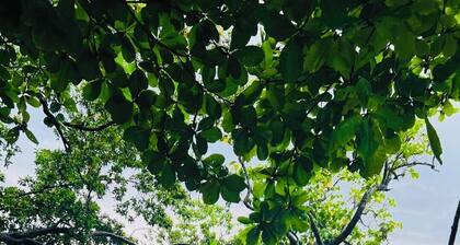 2 bedroom Beach House at Bluefields Bay