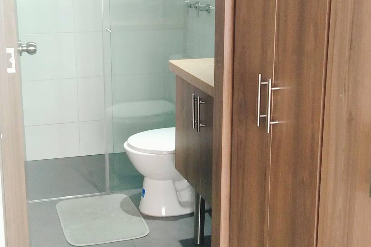 A bathroom with a wooden wardrobe, a toilet, and a shower area.