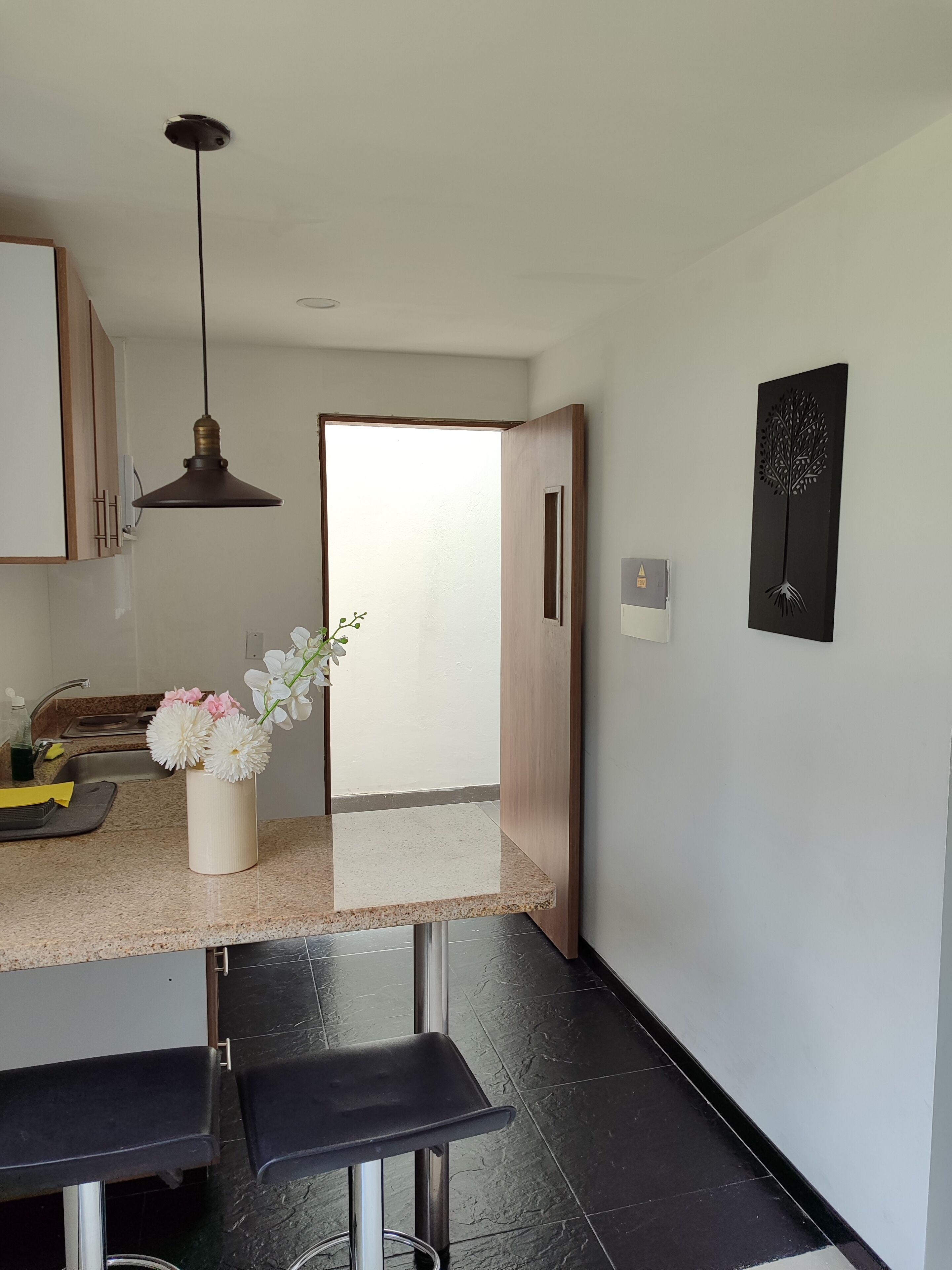 A modern kitchen with a granite countertop, a hanging pendant light, and a vase with flowers.
