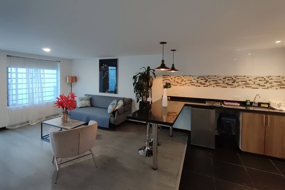 A modern living room with a sofa, a dining table, and a kitchen area with a countertop and cabinets.