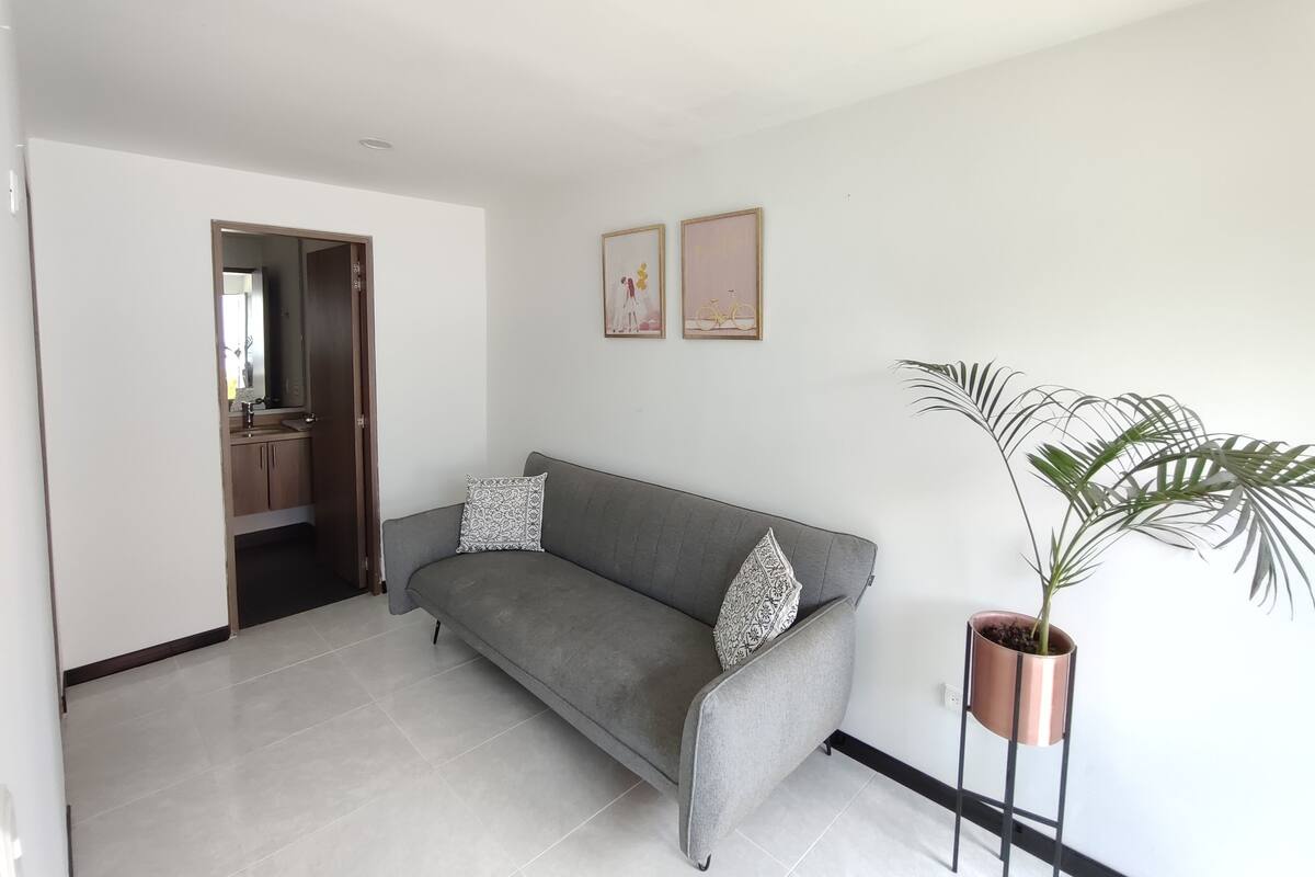 A modern living room with a grey sofa, a potted plant, and two framed pictures on the wall.
