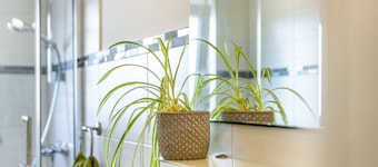 Apartment 'Baumelt' with Private Terrace, Shared Garden and Wi-Fi