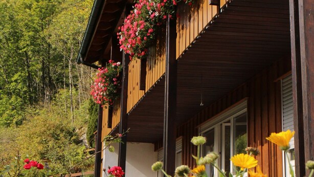 Una cabaña de madera con un porche, rodeada de diversas flores y follaje.