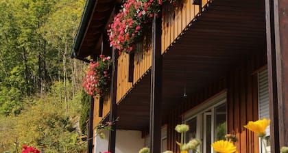 Ferienwohnung "Lorenz" mit privater Terrasse und WLAN