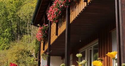 Ferienwohnung "Lorenz" mit privater Terrasse und WLAN