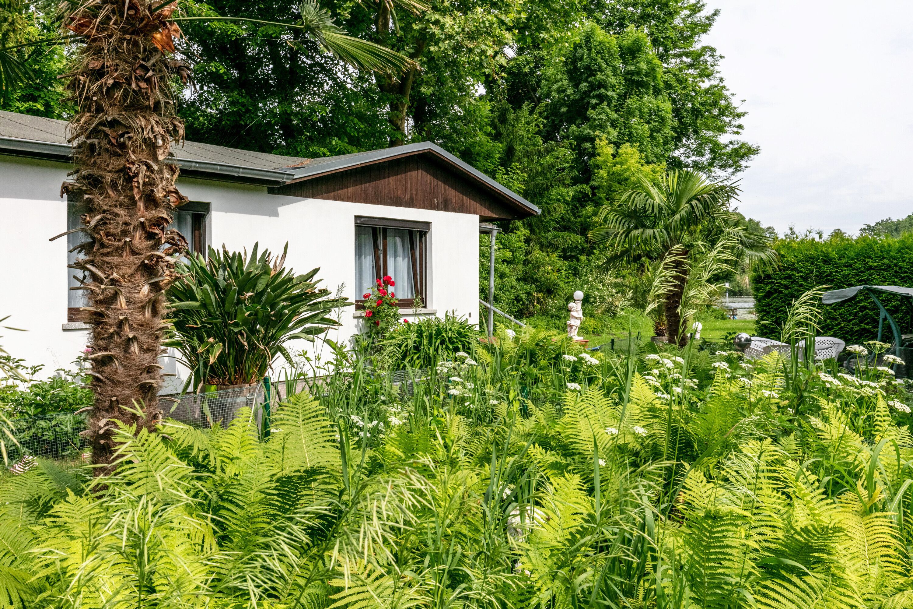 Terrein van de accommodatie