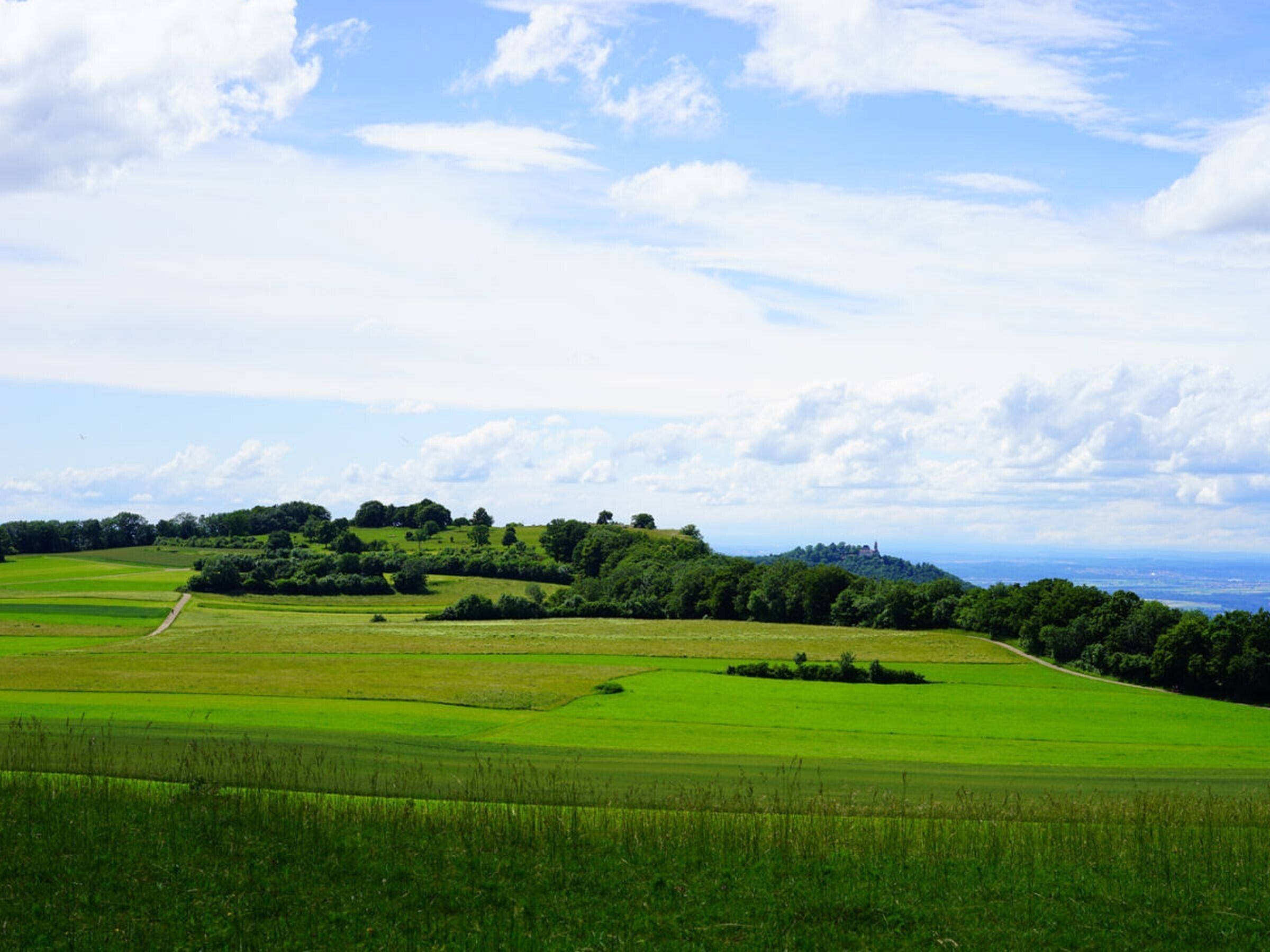Paisaje rural con campos verdes ondulantes, un sendero de tierra y una colina distante con árboles.