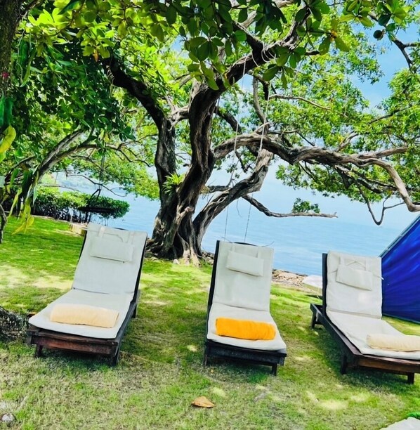 Three lounge chairs under a large tree by a body of water.
