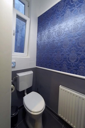 Haartrockner, Handtücher, Shampoo, Toilettenpapier