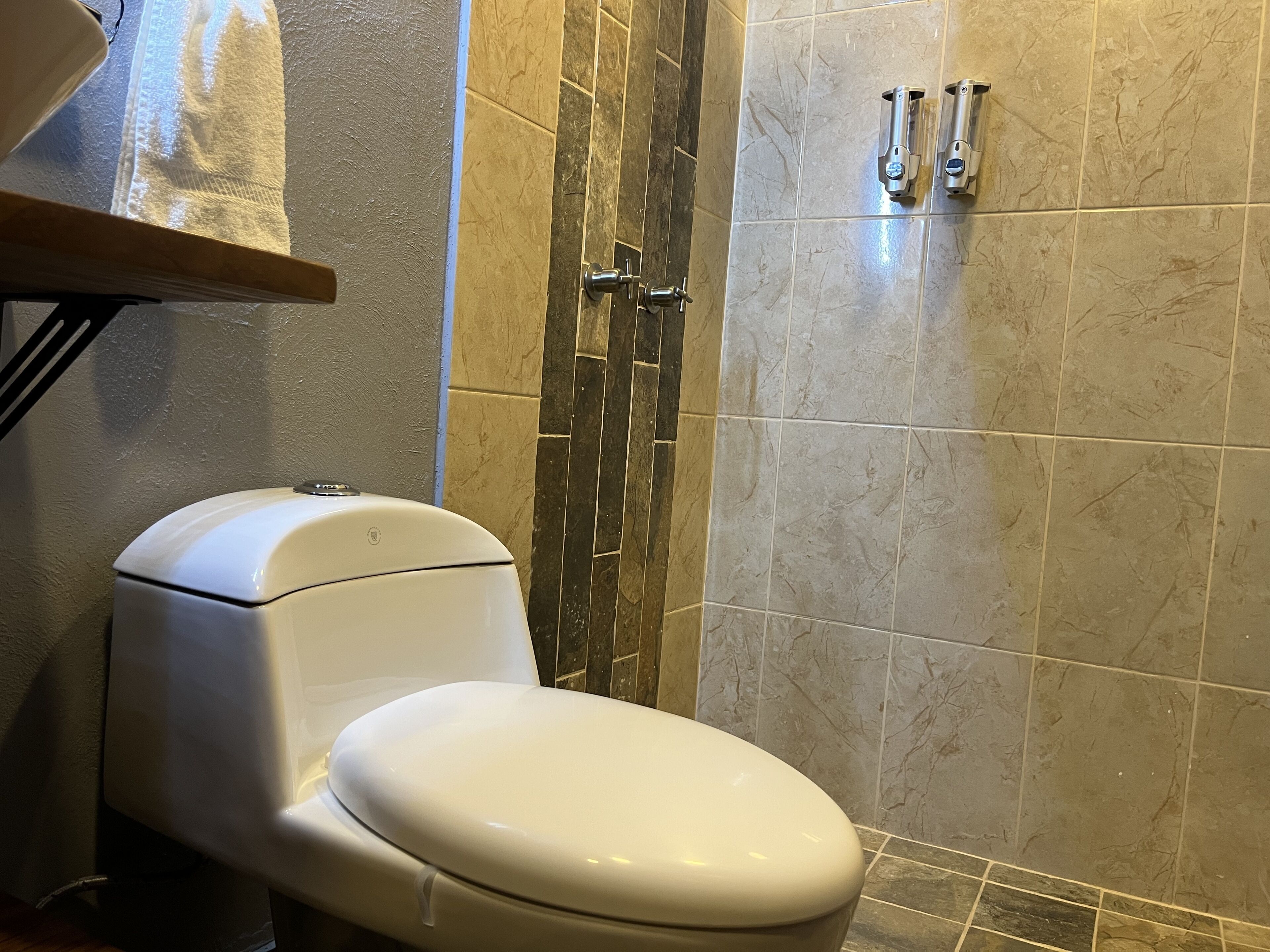 A bathroom with a white toilet, a shower area with a glass door, and a towel rack.
