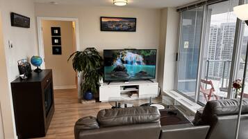 Smart TV, DVD player, books