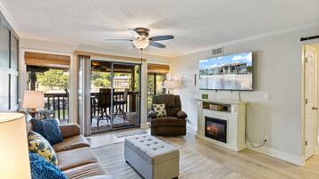 Smart TV, fireplace, books