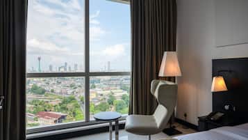 Habitación Deluxe con 1 cama doble o 2 individuales, vistas a la ciudad | Vistas desde la habitación
